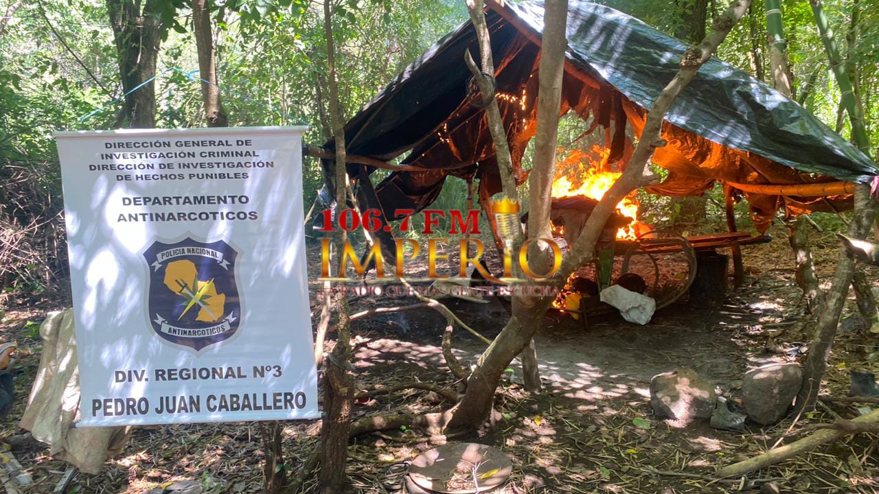 Antinarcóticos destruye 1.800 kilos de marihuana en inmueble rural de Fortuna Guazú